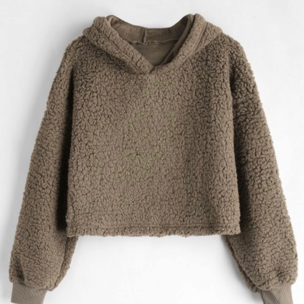 Brown Cropped Fuzzy Sweatshirt